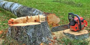 Best Firewood Processing and Delivery  in Hayfield, MN