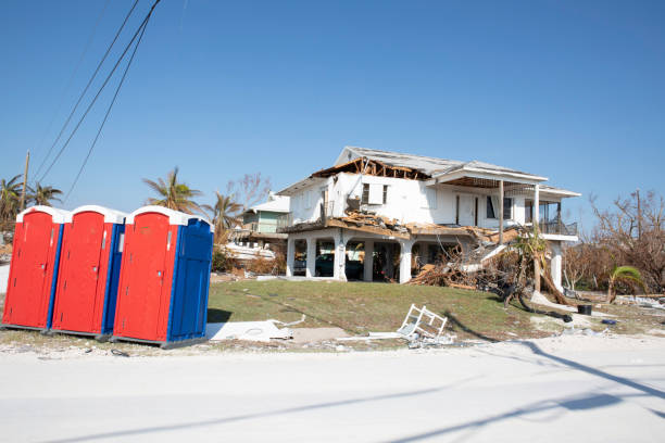 Best Tree Risk Assessment  in Hayfield, MN